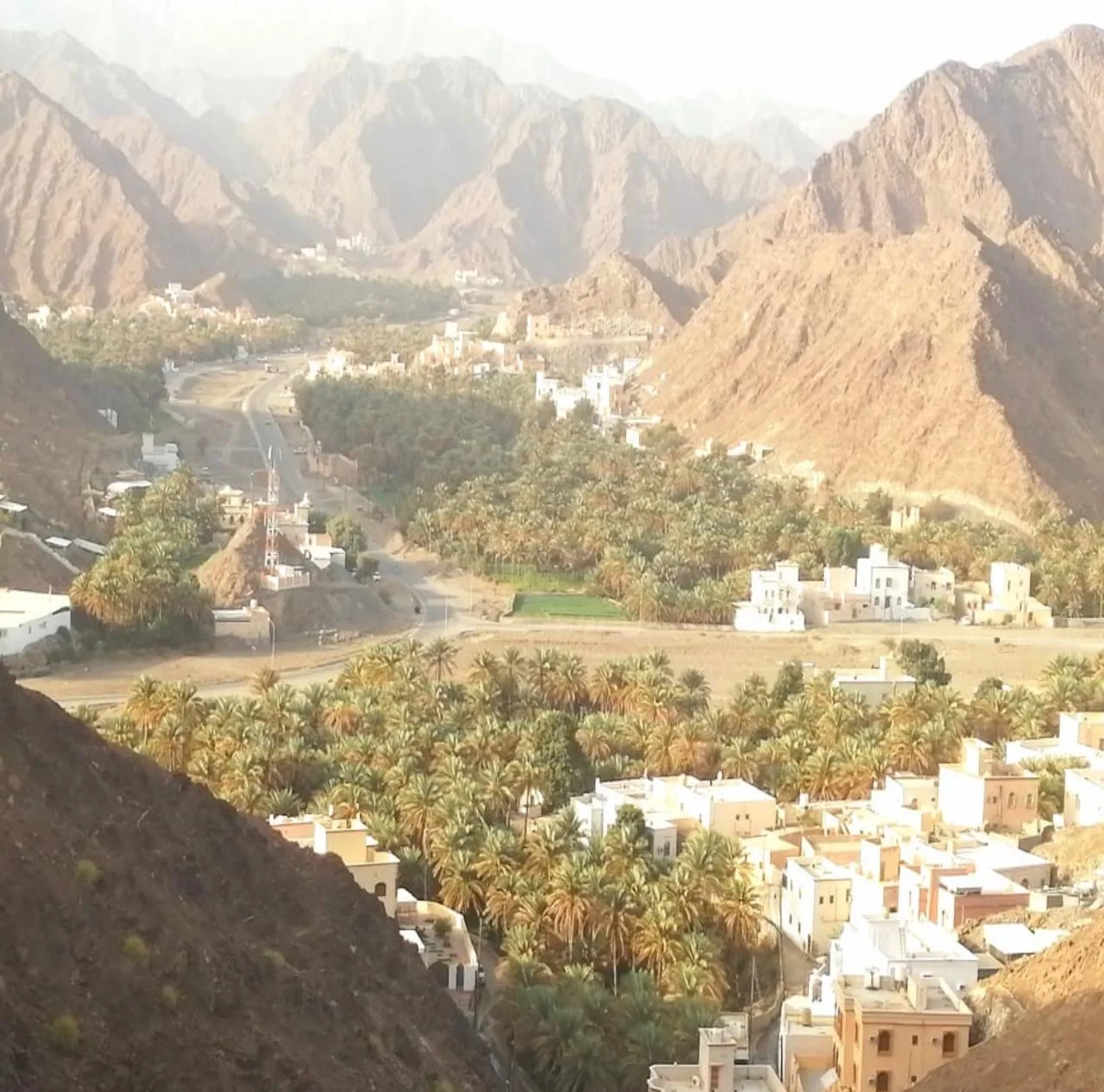 قرية ومزارع نخيل تحتضنها جبال عُمان